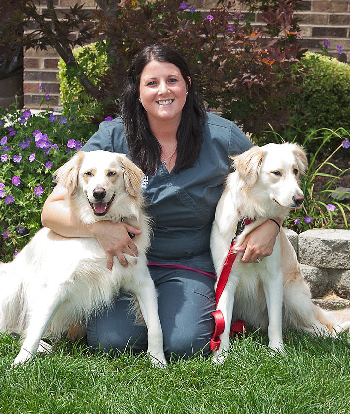 Dog & Cat Veterinarians | Experienced Veterinarians in South Holland